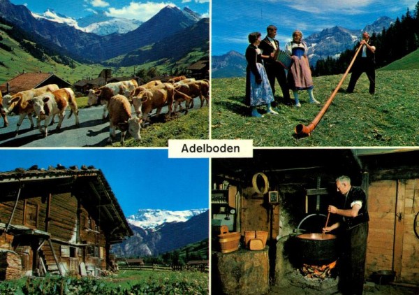 Alpkäsen, Alphornbläser und Alpaufzug bei Adelboden Vorderseite