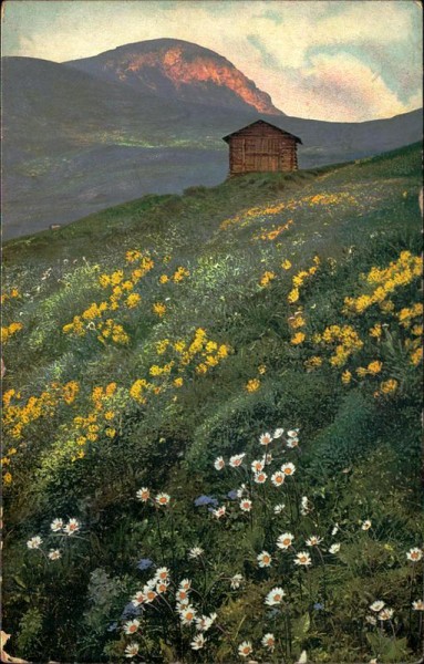 Berghaus Frutigen Vorderseite