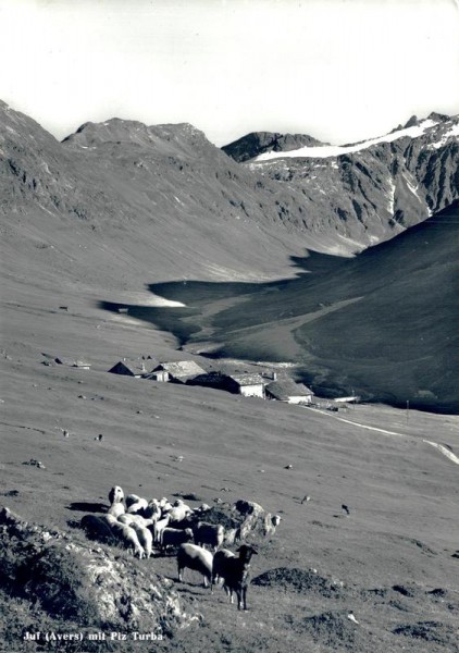 Juf mit Piz Turba Vorderseite