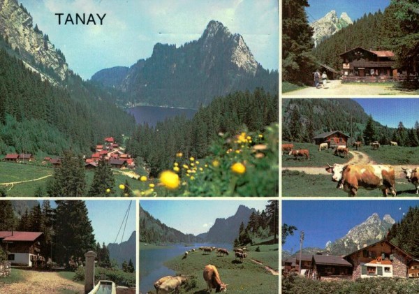 Tanay Vorderseite