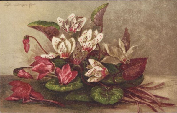 D. Derendinger-Roux, Blumen