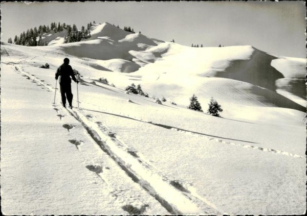Nesslau-Krummenau Vorderseite
