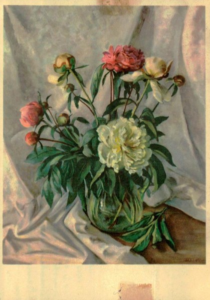 Pfingstrosen Vorderseite