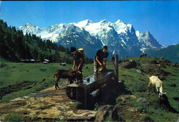 Wetterhorngruppe Vorderseite