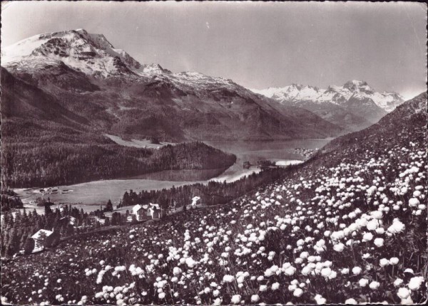 Blick gegen das Oberengadin - Montalia