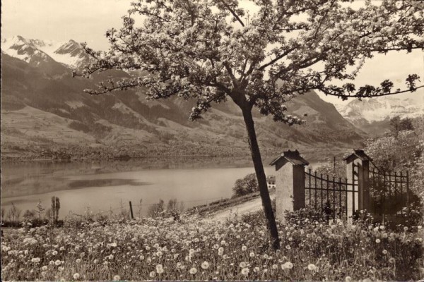 Frühling im Obwalnerland