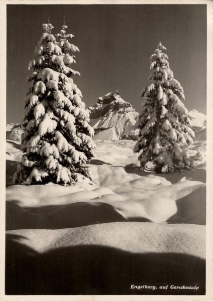 Engelberg, auf Gerschnialp Vorderseite