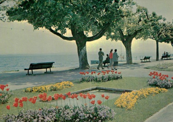 Sur le Quai Osterwald, Neuchâtel Vorderseite