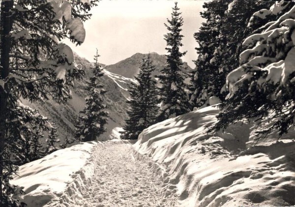 Arosa am Eichhörnliweg Vorderseite