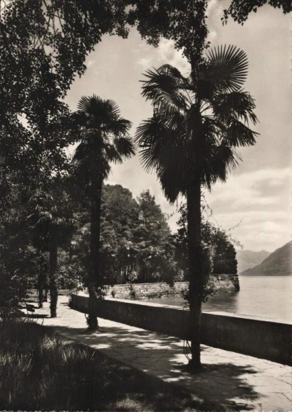 Isole di Brissago. Parco Botanico Vorderseite