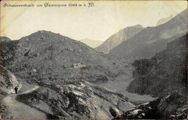 Gemmipass Vorderseite