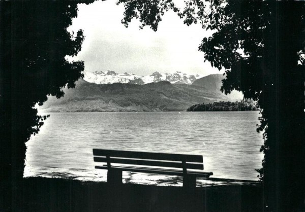 Blick von Luzern auf Vierwaldstättersee und Alpen Vorderseite