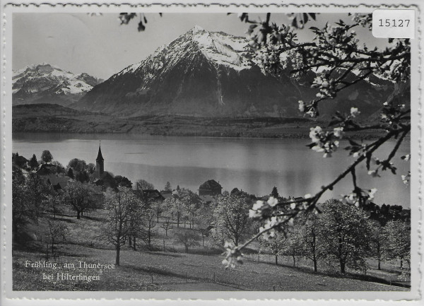 Frühling am Thunersee bei Hilterfingen