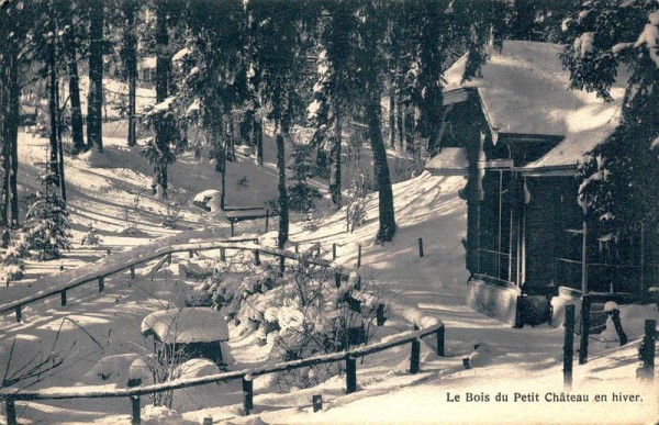 Le Bois du Petit Chàteau en hiver Vorderseite