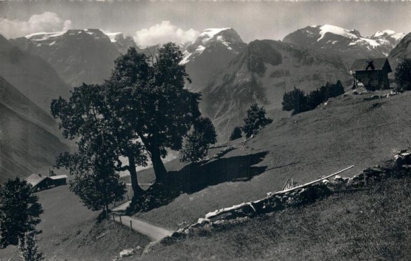 Am Weg zur Braunwaldalp Vorderseite