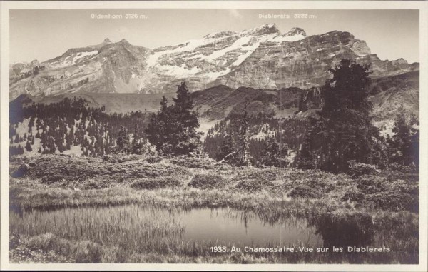 Au Chamossaire, Vue sur les Diablerets Vorderseite