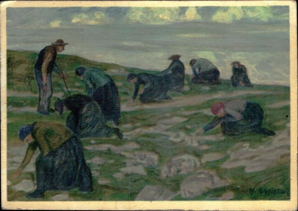 Steiniges Land Vorderseite