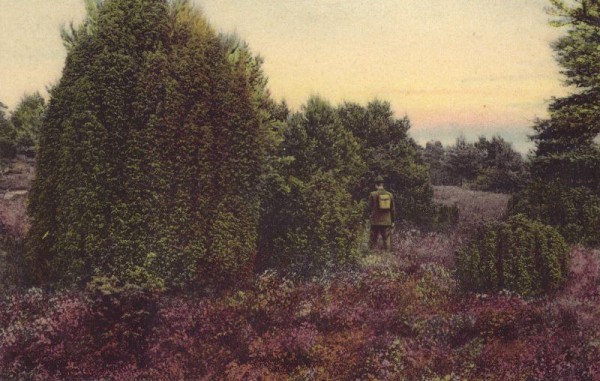 Lüneburger Heide