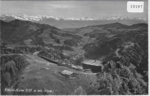 Berggasthaus Hörnli-Kulm mit Alpen