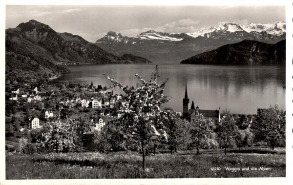 Weggis und die Alpen Vorderseite