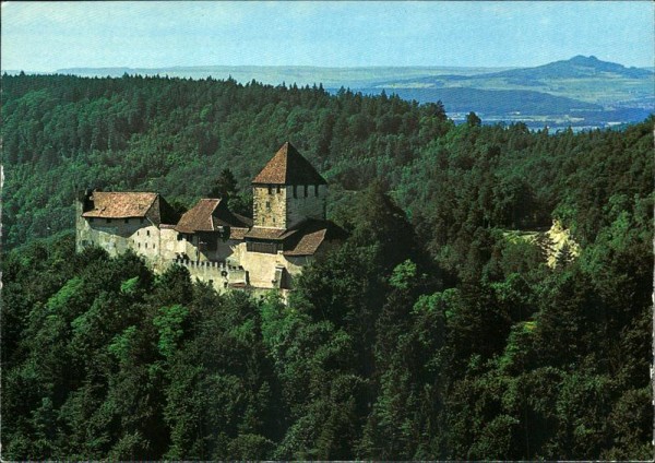 Burg Hohenklingen Vorderseite