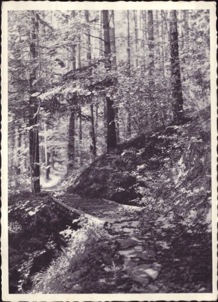 Waldweg