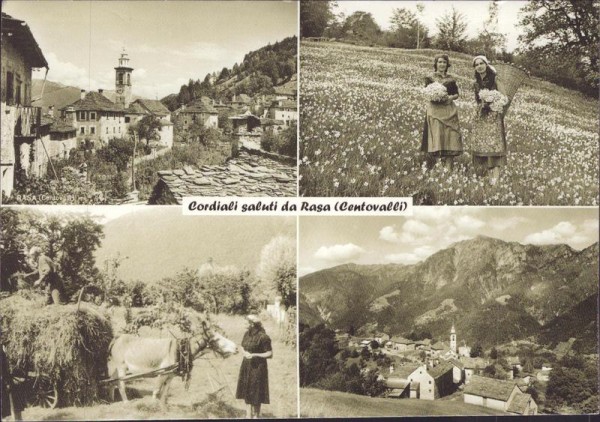 Rasa, REPRODUKTION Vorderseite