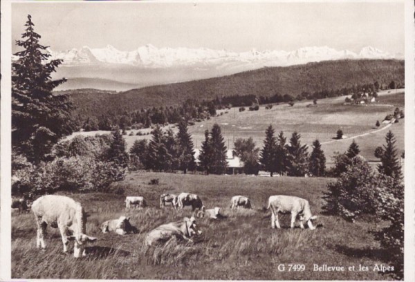 Bergwirtschaft a.d. Illfingermatten