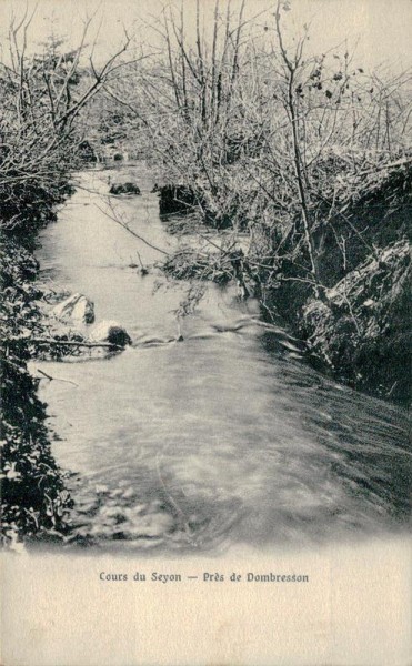 Cours de Seyon, Près de Dombresson Vorderseite