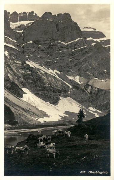 Oberblegialp Vorderseite