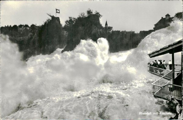 Rheinfall mit Fischetz Vorderseite