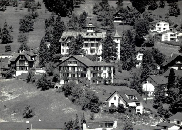 Weggis, Hotel Alpenblick, Flugaufnahme Vorderseite
