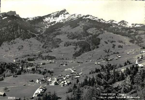 Blick gegen Speer und Wolzenalp, Ennetbühl Vorderseite