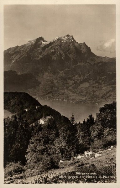 Bürgenstock. Blick gegen die Hotels u. Pilatus Vorderseite