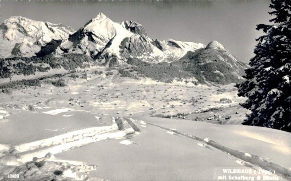 Wildhaus mit Schafberg und Säntis Vorderseite