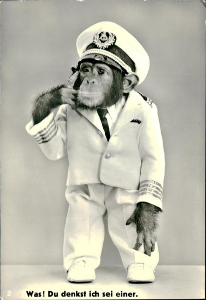 Rorschach, Käpten Jo's Jimmy aus der Hafenkneipe Vorderseite