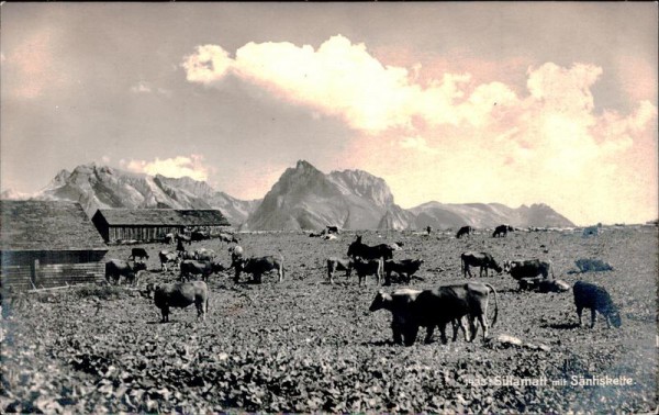 Sillamat, Sellamatt mit Säntiskette Vorderseite