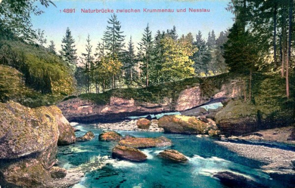 Naturbrücke zwischen Krummenau und Nesslau Vorderseite