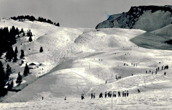 Klewenalp; Skigelände beim Skilift Vorderseite