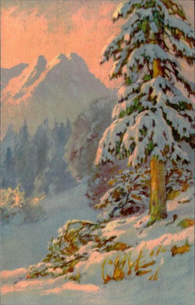 Winter Vorderseite
