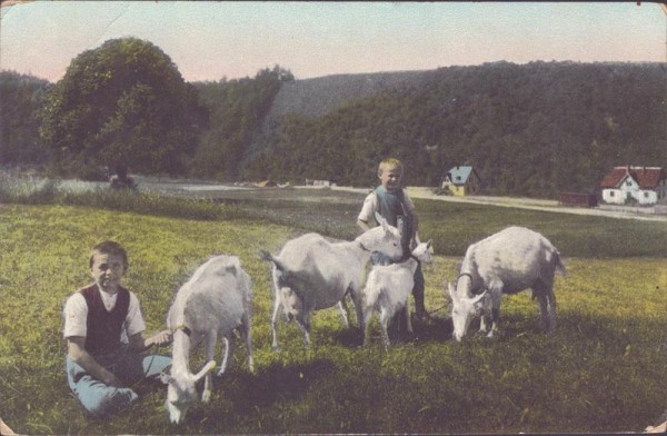 unbekannter Ort, Ziegen hüten Vorderseite