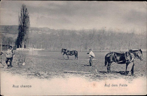 Auf dem Felde, Aux champs Vorderseite