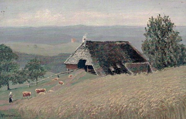 Haus mit Kornfeld und Kühen Vorderseite
