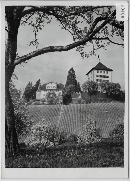 Schloss Heidegg - Schloss Herrenhaus und Kapelle
