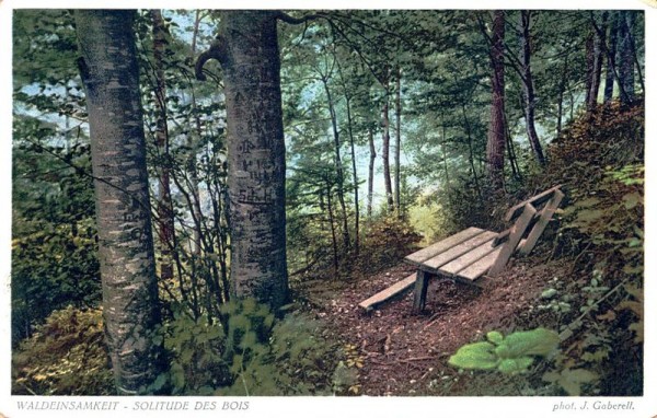 Waldeinsamkeit - Solitude des Bois Vorderseite