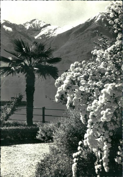 Locarno - Lago Maggiore Vorderseite