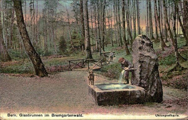 Bern, Glasbrunnen im Bremgartenwald Vorderseite