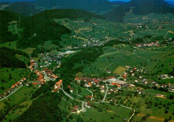 Meltigen Vorderseite