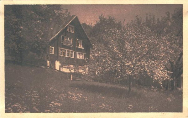 Frühling und Sommer. Haus mit Bäumen. Photostudien Hausamann  Vorderseite