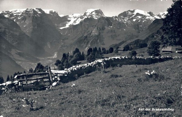 Auf der Braunwaldalp Vorderseite
